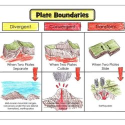 Lesson outline plate tectonics answer key