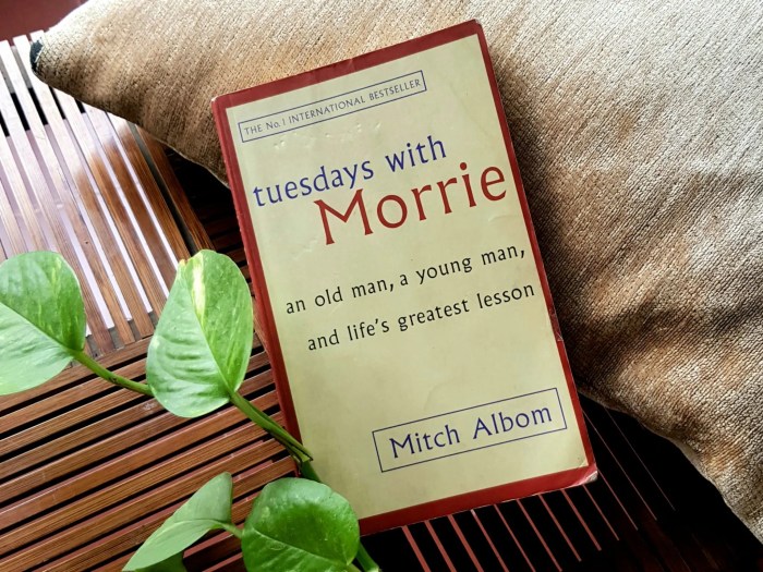 Quotes from tuesdays with morrie with page numbers