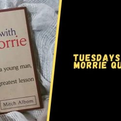 Morrie quotes numbers tuesdays quotesgram maury