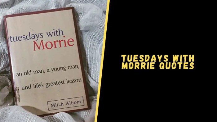 Morrie quotes numbers tuesdays quotesgram maury